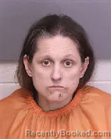 Mugshot of ERIN ELIZABETH HULSART-WILLIS