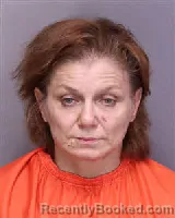 Mugshot of LISA MARIE HOPKINS booked in Florence County, South Carolina on July 3, 2026