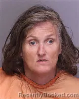 Mugshot of AMY BRITT SPRINGS booked in Florence County, South Carolina on April 6, 2026