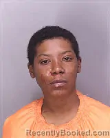 Mugshot of INDIA TIERRA TIMMONS