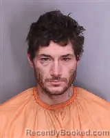 Mugshot of JOHNNY RAY BOAN