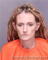 Mugshot of BRANDY DEVONNA WELCH booked in Florence County, South Carolina on May 15, 2026