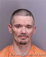 Mugshot of NICKLAS JAMES SURLS