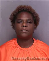 Mugshot of SHAWN MARIE MCCLAM booked in Florence County, South Carolina on April 23, 2026