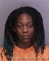 Mugshot of TASHINA ERICA-NICOLE JAMES booked in Florence County, South Carolina on March 26, 2026