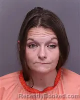 Mugshot of SHANNON NICOLE ROBINSON booked in Florence County, South Carolina on July 20, 2026