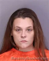 Mugshot of LINDSEY DENISE DIXON booked in Florence County, South Carolina on May 28, 2026