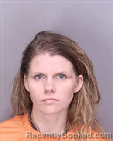 Mugshot of AMBER LYNN POTTER