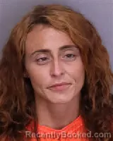 Mugshot of MEGAN RENEE MCELVEEN booked in Florence County, South Carolina on July 11, 2026