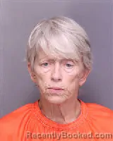 Mugshot of PATRICIA ANDREWS GALLAGHER booked in Florence County, South Carolina on June 3, 2026