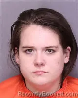 Mugshot of Dana Nicole Tedder booked in Florence County, South Carolina on August 27, 2026