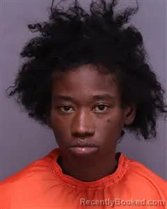 Mugshot of Kalaya Layasharyon Chomupkone booked in Florence County, South Carolina on October 17, 2026