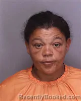 Mugshot of CRYSTAL NICOLE HAGGINS booked in Florence County, South Carolina on March 26, 2026