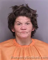 Mugshot of LISA CELESTE PARKER