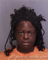 Mugshot of MARY ANN BROWN booked in Florence County, South Carolina on April 1, 2026