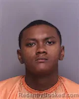 Mugshot of TORREY CURTIS HOLMES booked in Florence County, South Carolina on March 13, 2026