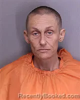 Mugshot of THERESA ANN STANLEY