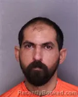 Mugshot of ARASH DEHGHANIMOHAMMADI booked in Florence County, South Carolina on July 13, 2026