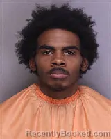 Mugshot of KHAMAURI NASIR FLING