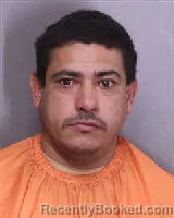 Mugshot of JAVIER HERNANDEZ