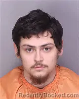 Mugshot of LANE JARRETT DIVINE