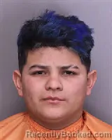 Mugshot of JEFFRY JAFET ALBERTO-GARCIA