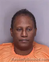 Mugshot of ASHLEY MONIQUE RICHARDSON