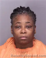 Mugshot of LENNIE PETERKIN WILSON