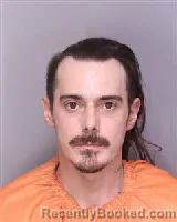 Mugshot of ROBERT FOREST ROLLINS