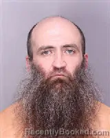 Mugshot of SEAN FRANCIS MORANO