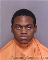 Mugshot of DE'MAREION TY'KEIM JAIQUAN LEE