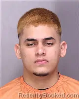 Mugshot of DENNIS ALEJANDRO RIVERA