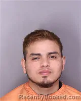 Mugshot of JOSE GAMALIEL ROSA ROMERO