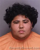 Mugshot of CINTHIA MARISOL AVILA MENJIVAR booked in Florence County, South Carolina on March 12, 2026