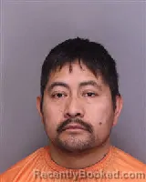 Mugshot of RODOLFO CASTILLO CARMONA booked in Florence County, South Carolina on March 15, 2026