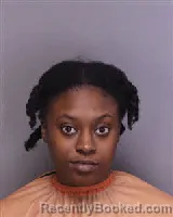 Mugshot of JANAY RUTHANNE SIMON booked in Florence County, South Carolina on March 24, 2026