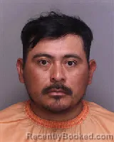 Mugshot of JAIRO POROJ-IXCOT booked in Florence County, South Carolina on March 28, 2026