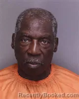 Mugshot of LINDSEY LEE TIMMONS booked in Florence County, South Carolina on April 1, 2026