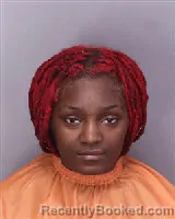 Mugshot of JAMIYA ANITA BROOKS booked in Florence County, South Carolina on April 2, 2026