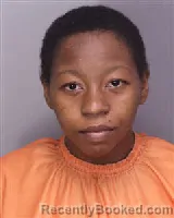 Mugshot of LAMYA RENEE DYE booked in Florence County, South Carolina on April 3, 2026