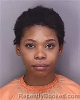 Mugshot of CAROL MERCEDES BROCKINGTON booked in Florence County, South Carolina on April 5, 2026