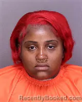 Mugshot of DNAYA TASHYANA ROLAND booked in Florence County, South Carolina on May 16, 2026