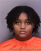 Mugshot of JOVAN LASHAY SWINDLER booked in Florence County, South Carolina on May 24, 2026