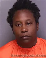 Mugshot of JANICA NICHELLE JACKSON booked in Florence County, South Carolina on May 24, 2026