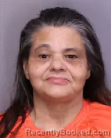 Mugshot of LINDA CHAVIS HENSON booked in Florence County, South Carolina on June 14, 2026