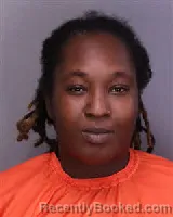 Mugshot of ELLEN DENISE JACKSON booked in Florence County, South Carolina on July 8, 2026