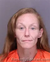 Mugshot of ELIZABETH MICHEAL FIELDS booked in Florence County, South Carolina on July 13, 2026