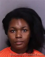 Mugshot of BREANNA CAMILLE BROWN booked in Florence County, South Carolina on July 17, 2026