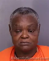 Mugshot of BLONDELL JAMES booked in Florence County, South Carolina on July 27, 2026