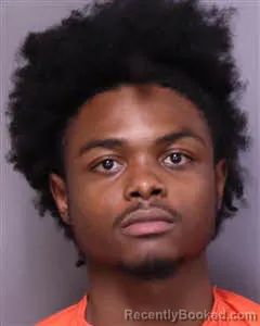 Mugshot of Demari Marcell James booked in Florence County, South Carolina on September 9, 2026